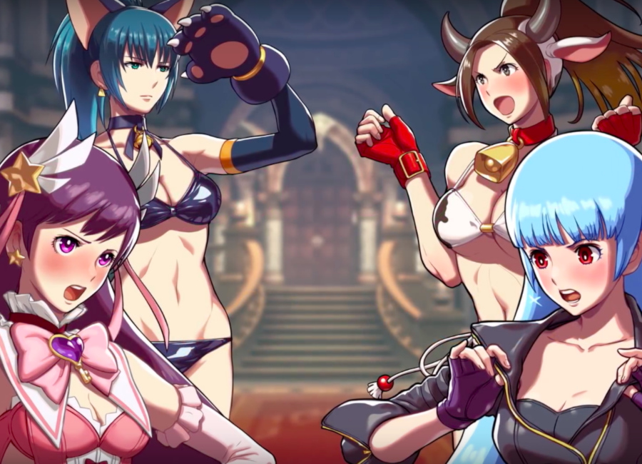 SNK Heroines: Tag Team Frenzy